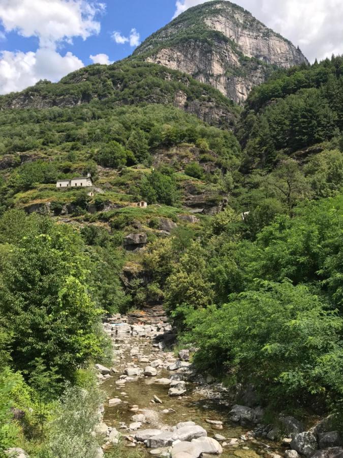 Casa Vino E Birra Apart otel Osogna Dış mekan fotoğraf